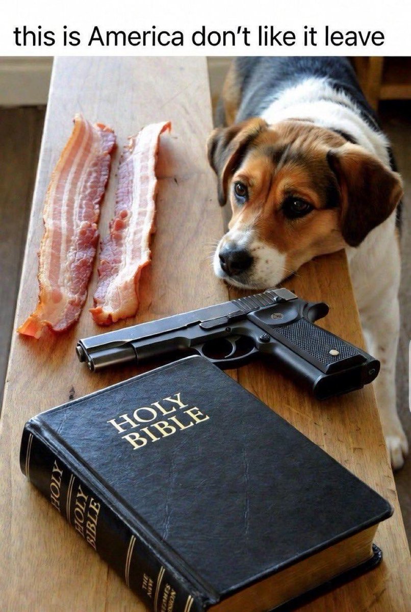 Mischief 🌿🌹🌿🌹🌿🌹🌿🌹🌿 tweet media