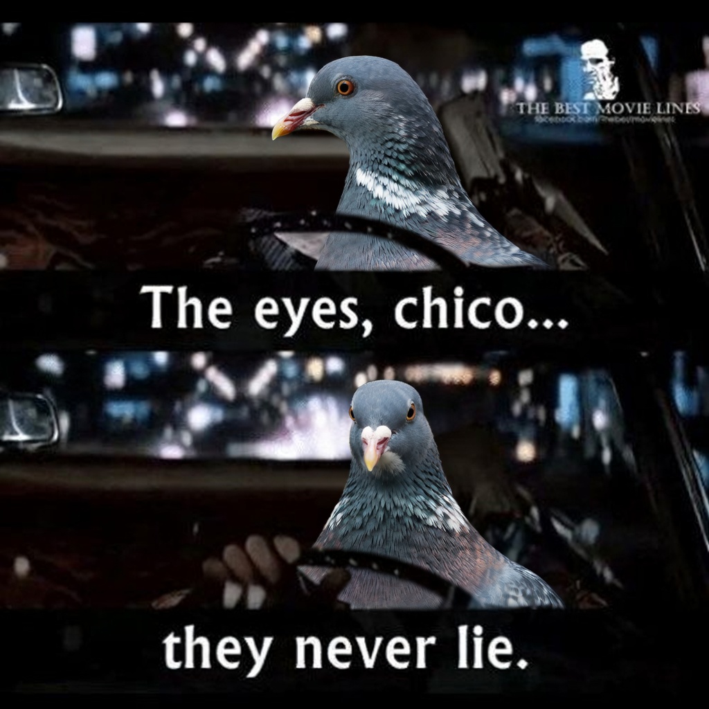 Lo Iku Pijin ( EAZY-P ) tweet media