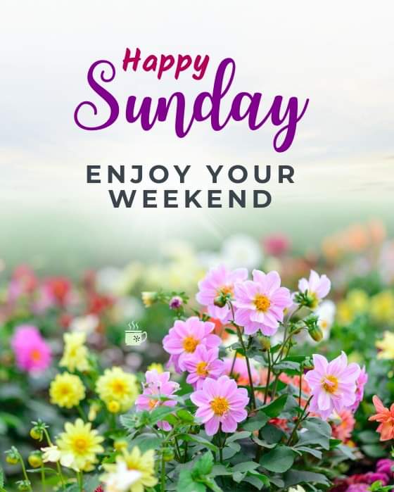 AkashJaiShriRam 🙏 tweet media