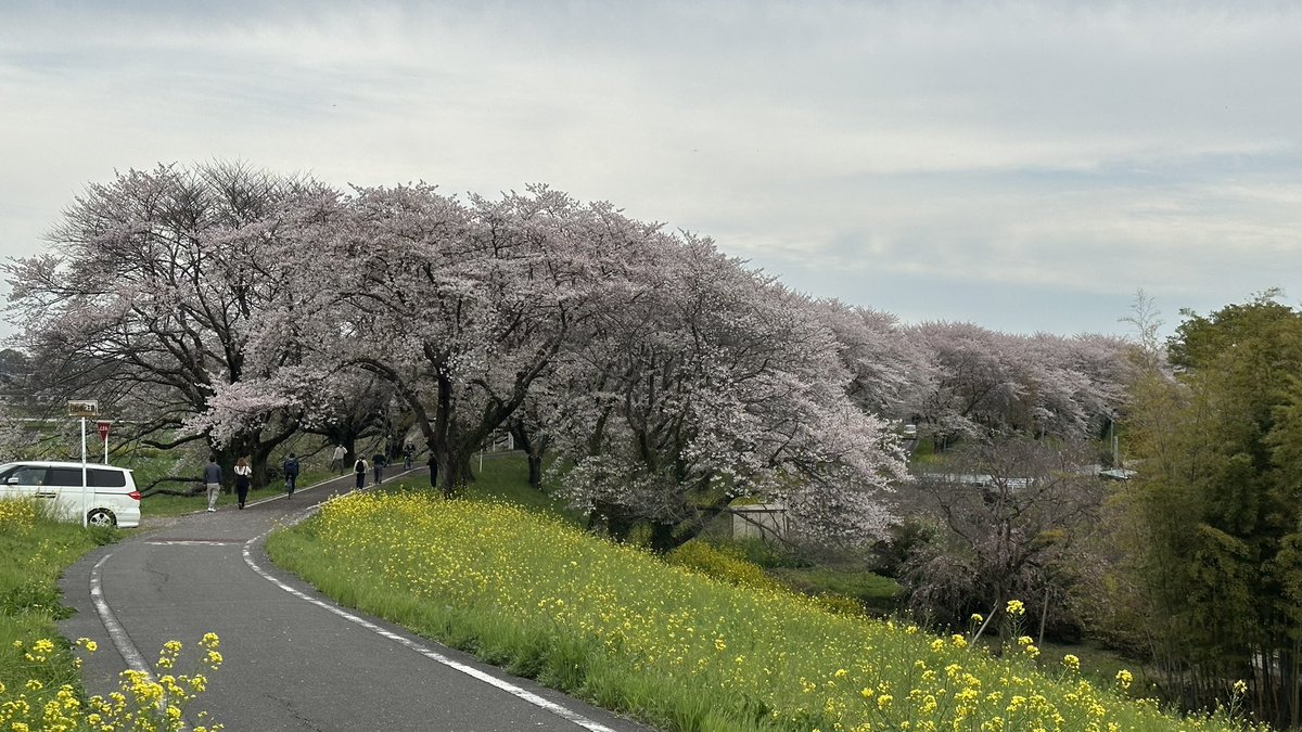 TK RoadBiker tweet media