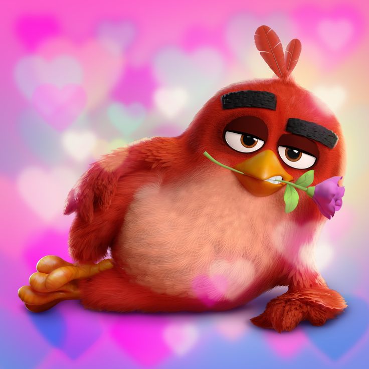 우티 (상태:...) tweet media