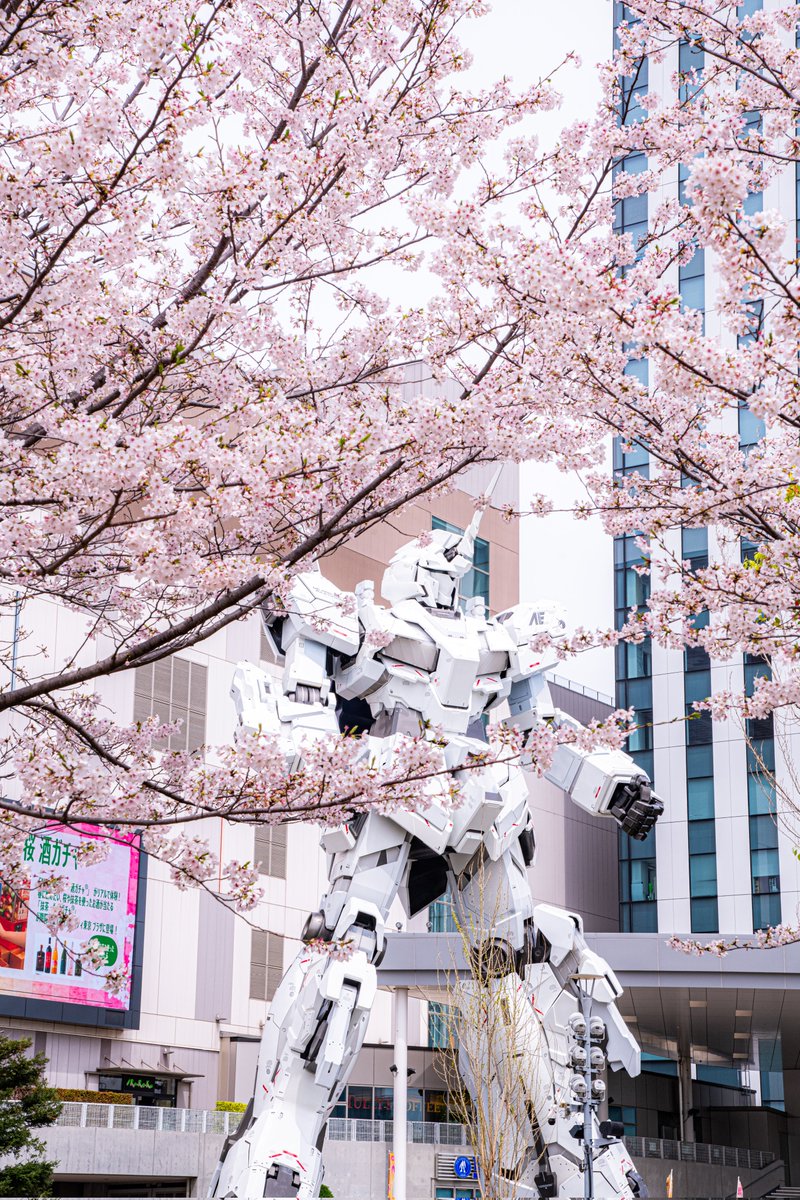 ハスカップ07 tweet media