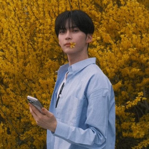 멩⸍꙳ tweet media