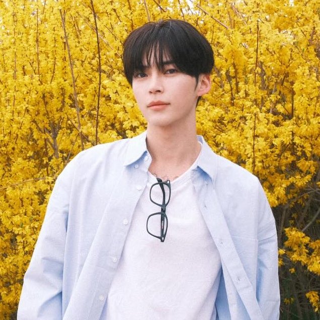 멩⸍꙳ tweet media