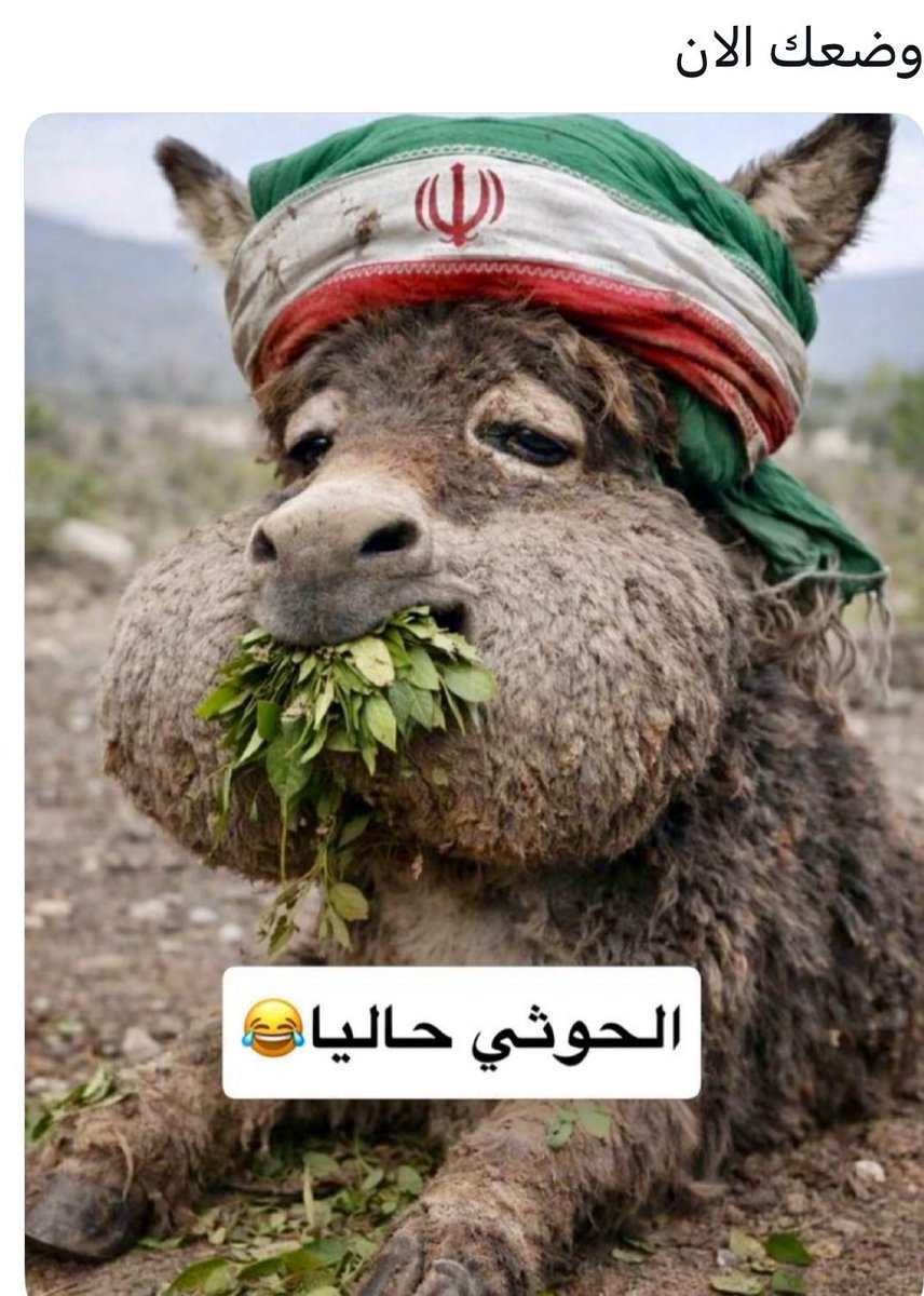 أوس ..➰ tweet media