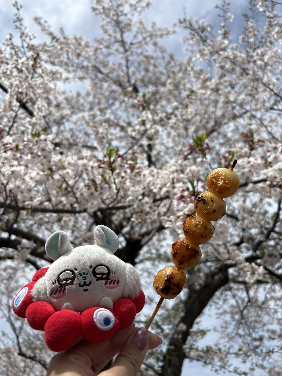 暁月このは tweet media