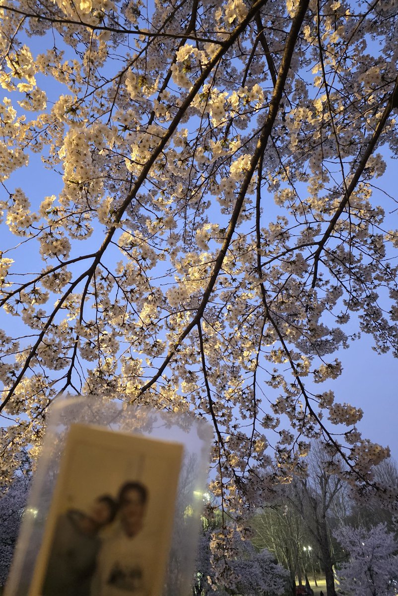 second floor tweet media