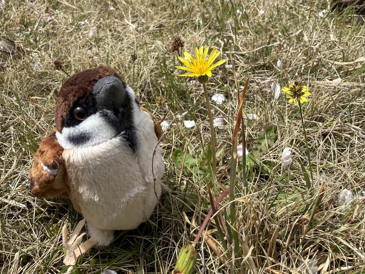 まぁ子🐼 tweet media