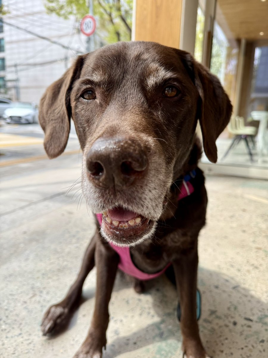 전기가오리 tweet media