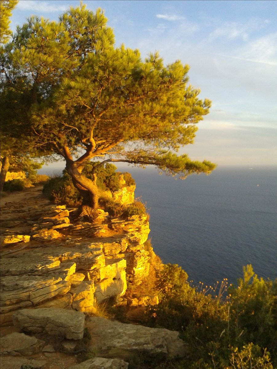 The crafts tweet media