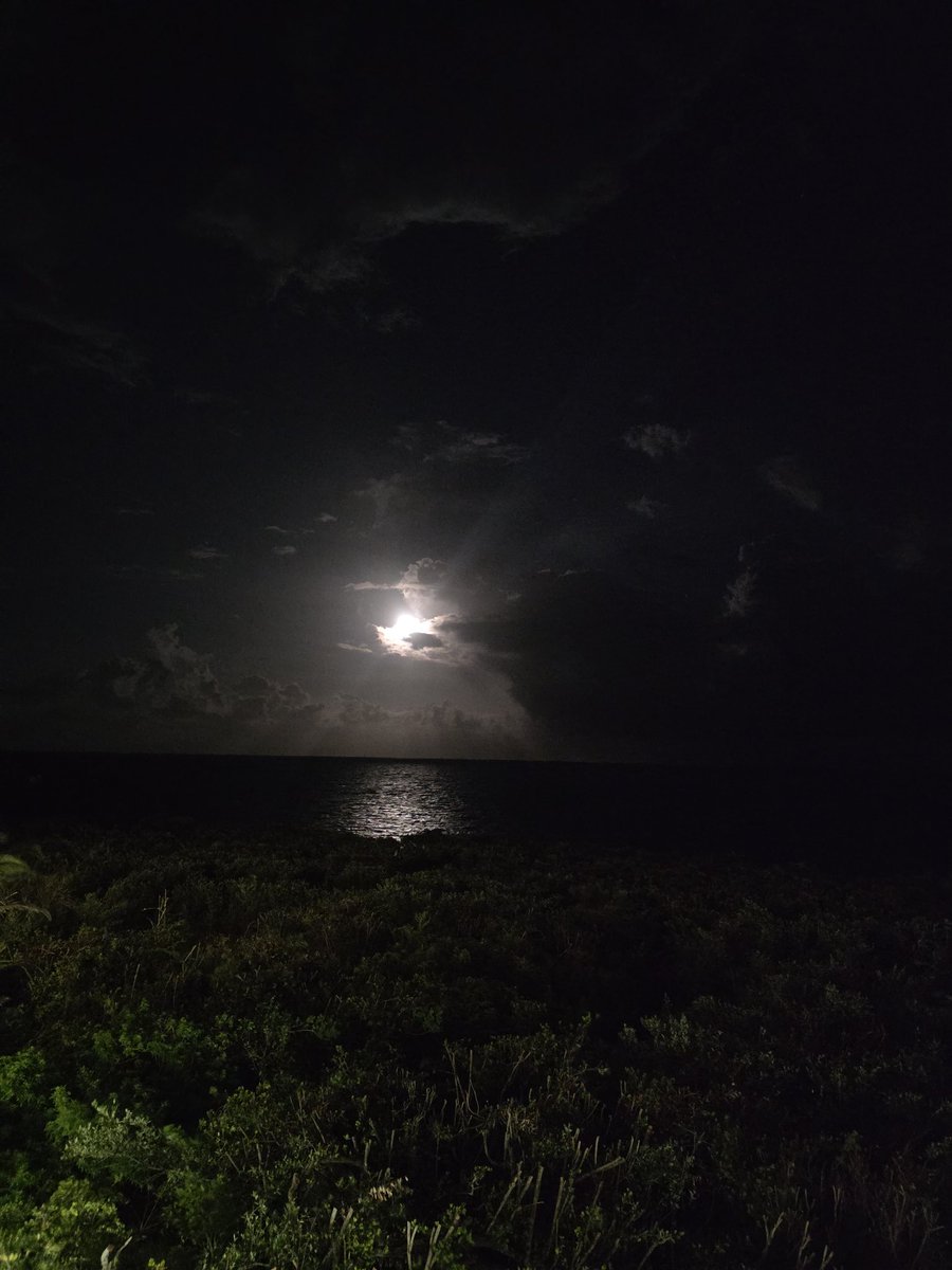 Joe Rambo tweet media