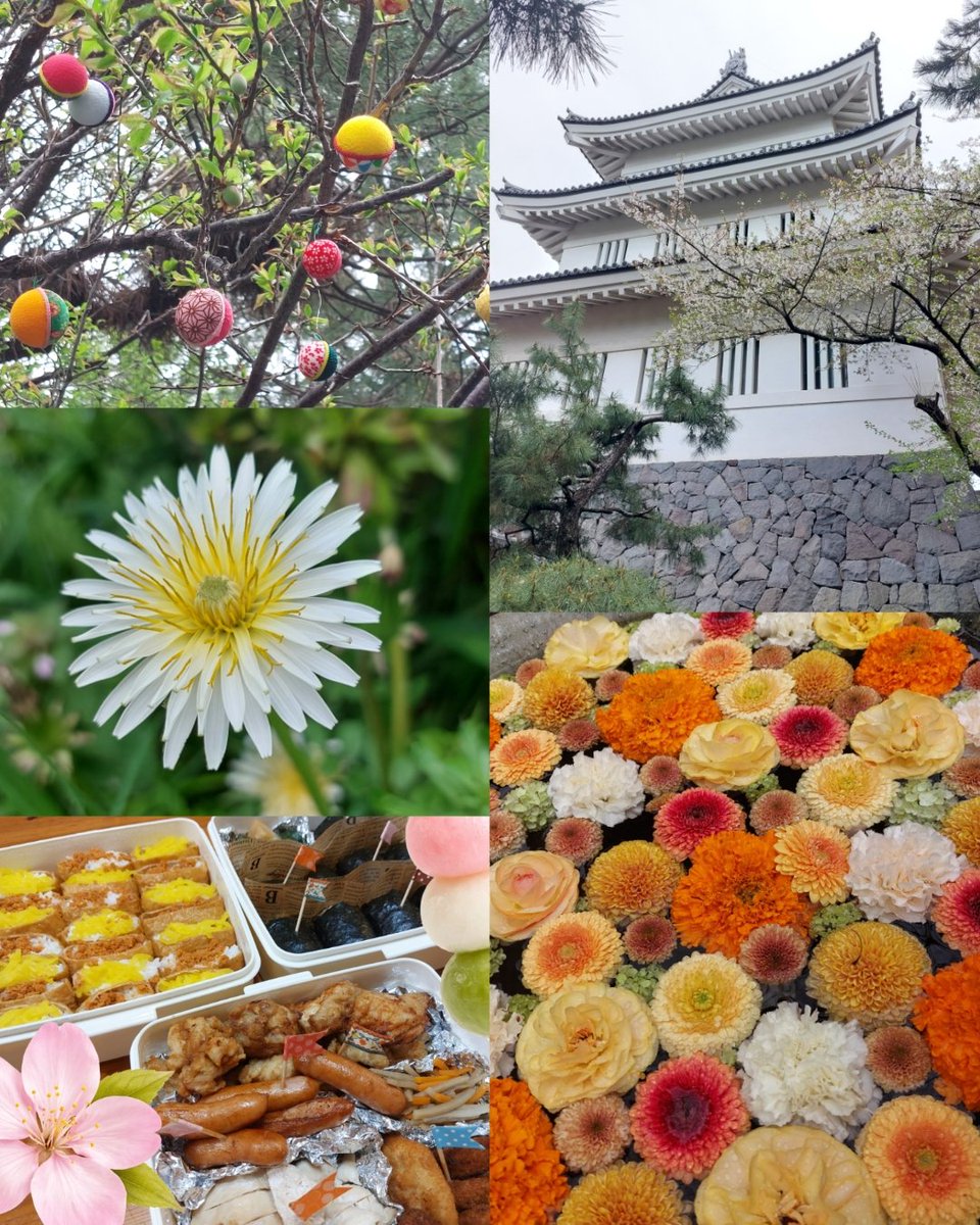 おちゃり🌱ゲームと無縁だった人間 tweet media