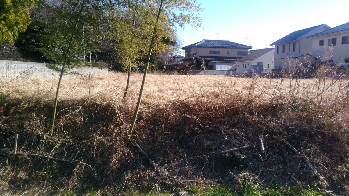 70ダイアリー tweet media