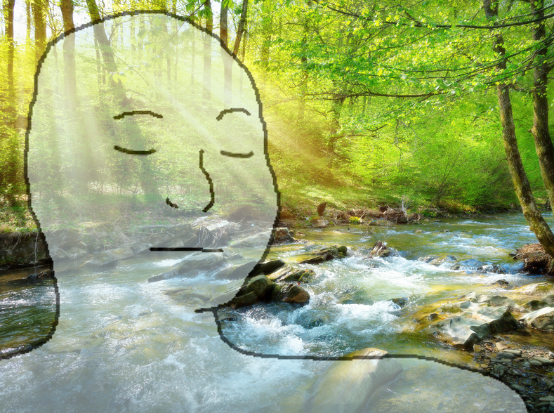 C A L M P O S T E R tweet media