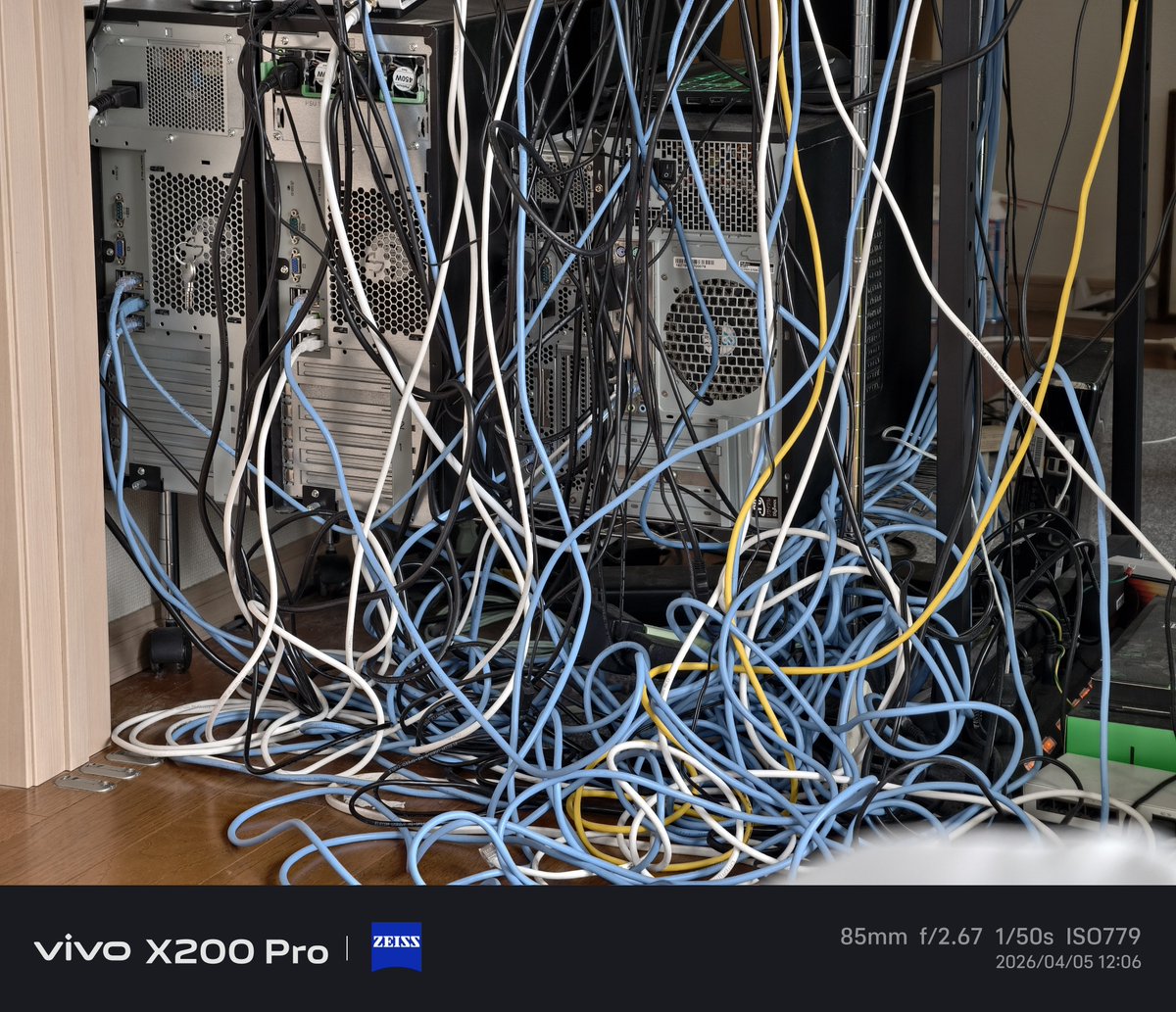 おうどん (旧blank) tweet media