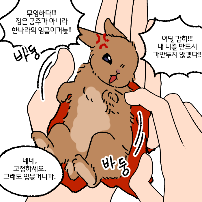 🍰 혼또 | 텀블벅 펀딩중! 🐇 tweet media