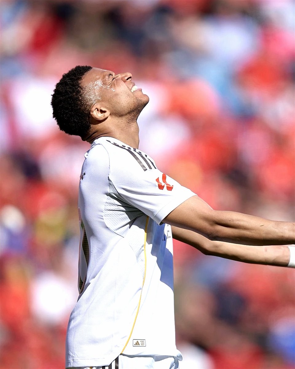 Madrid Universal tweet media