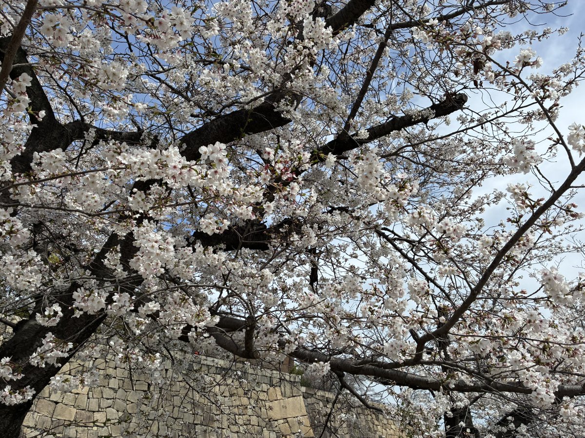 あのんです tweet media