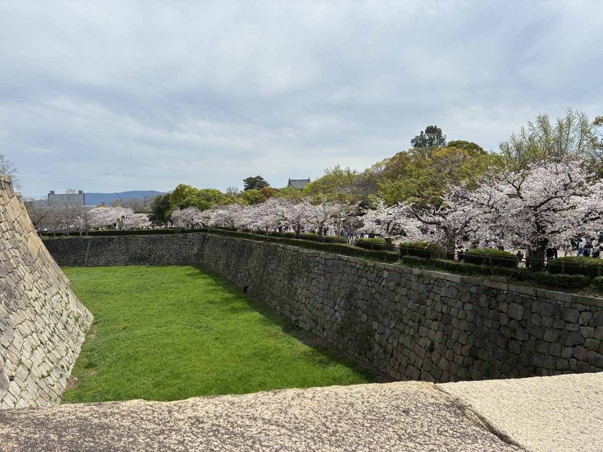 あのんです tweet media