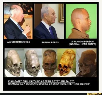 ✠ ᵀʰᵉ ⁼⁼ ᴺᵃʳʳᵒʷ ⁼⁼ ᵂᵃʸ ✠ tweet media