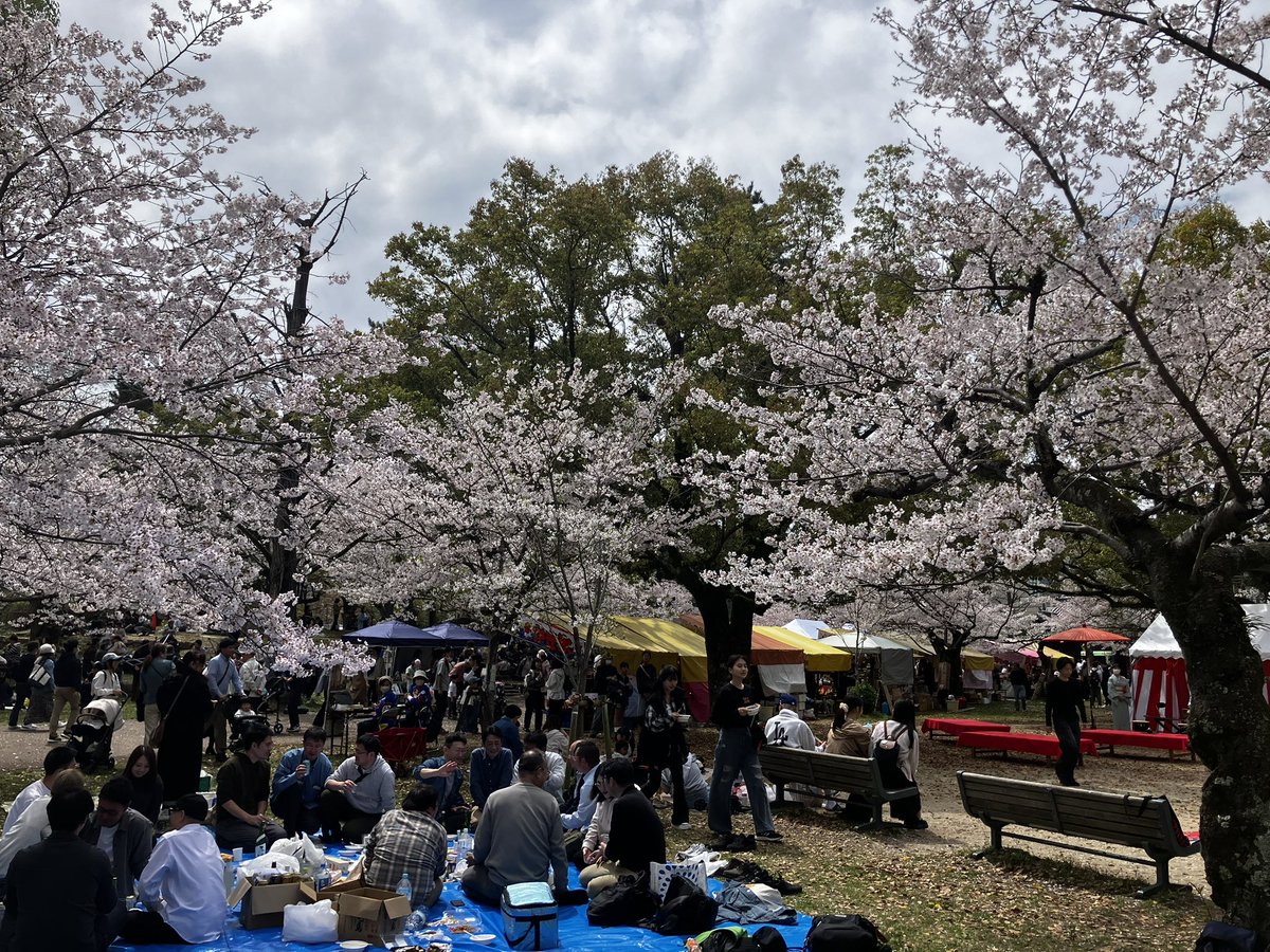 アルパカ紳士|アルパカ音楽チャンネル tweet media
