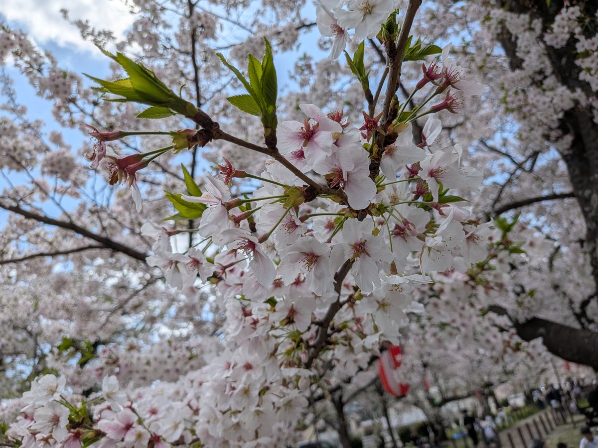 純☆也 tweet media