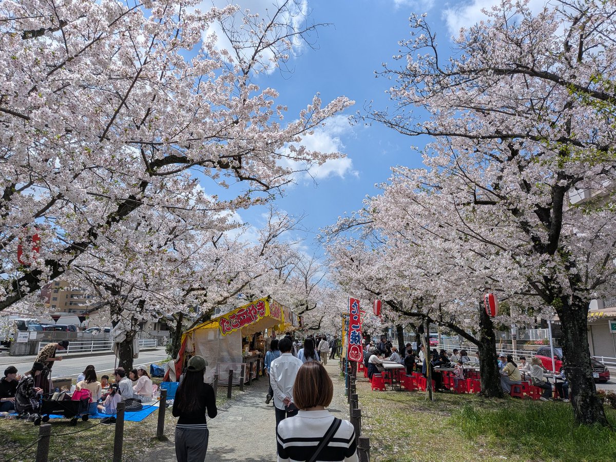 純☆也 tweet media