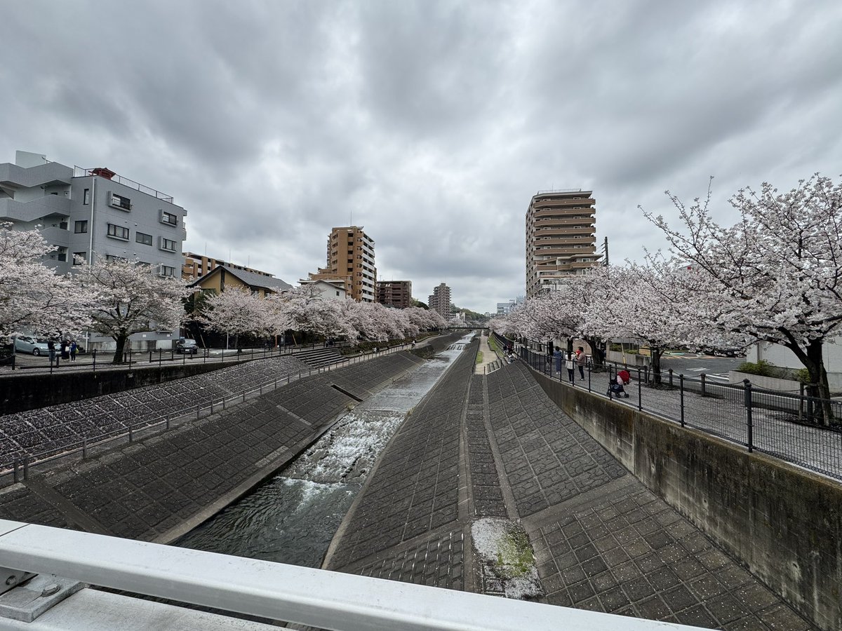 RAITO./らいと tweet media