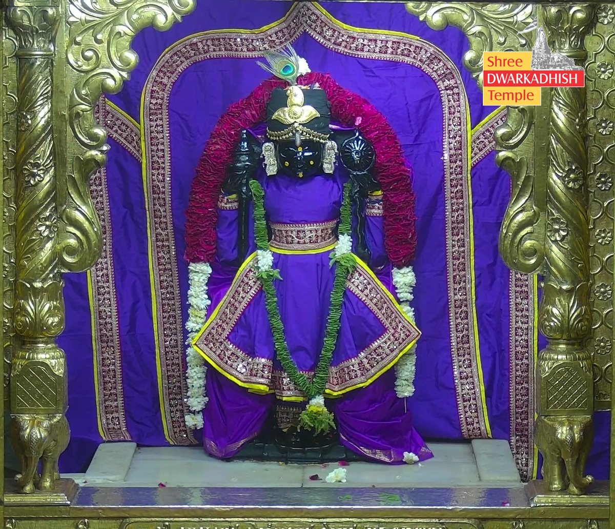 समुंदर tweet media