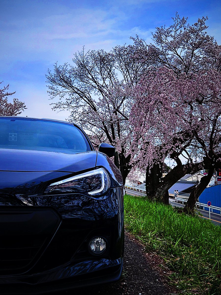 #愛車と桜
今年は撮れなかった😭