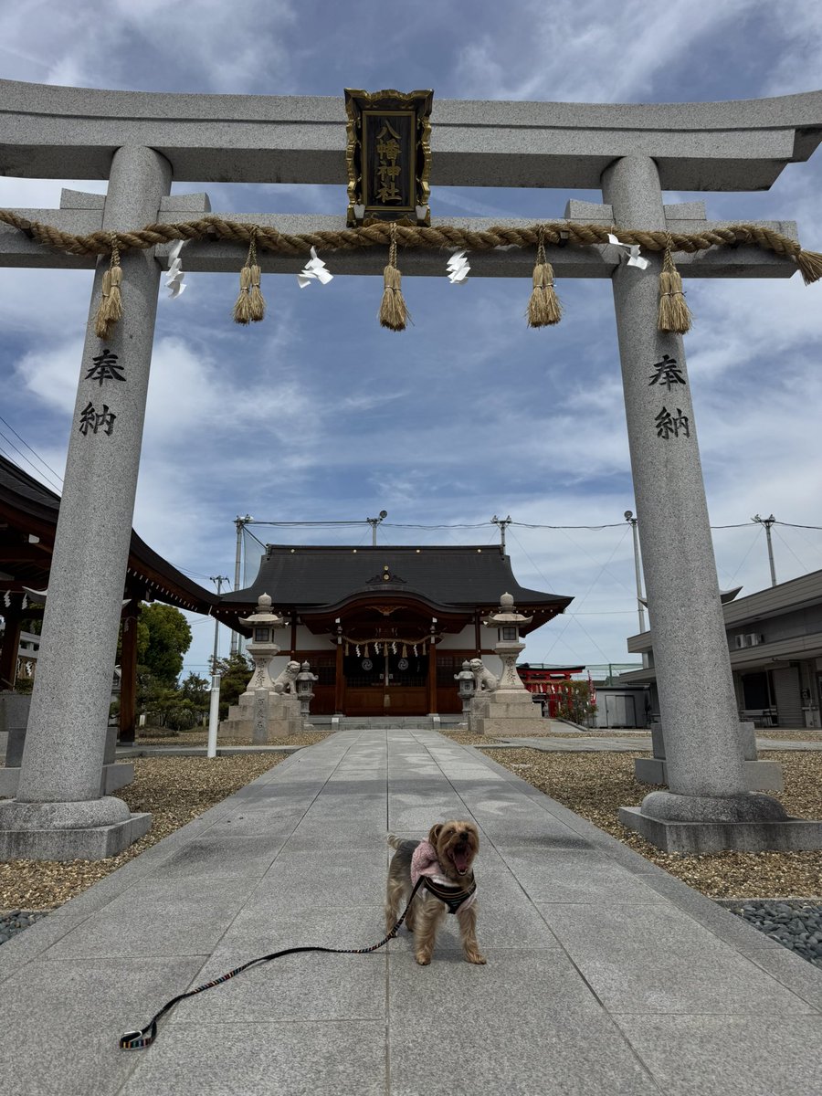 ひろまる tweet media