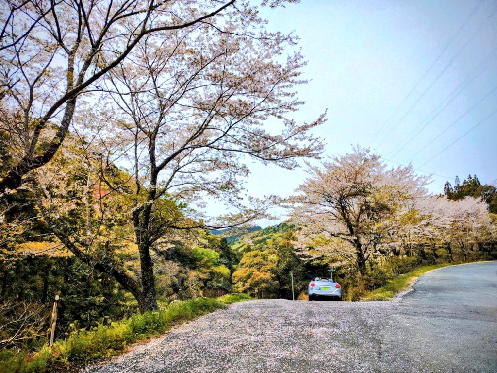 ばう（秒で退散） tweet media