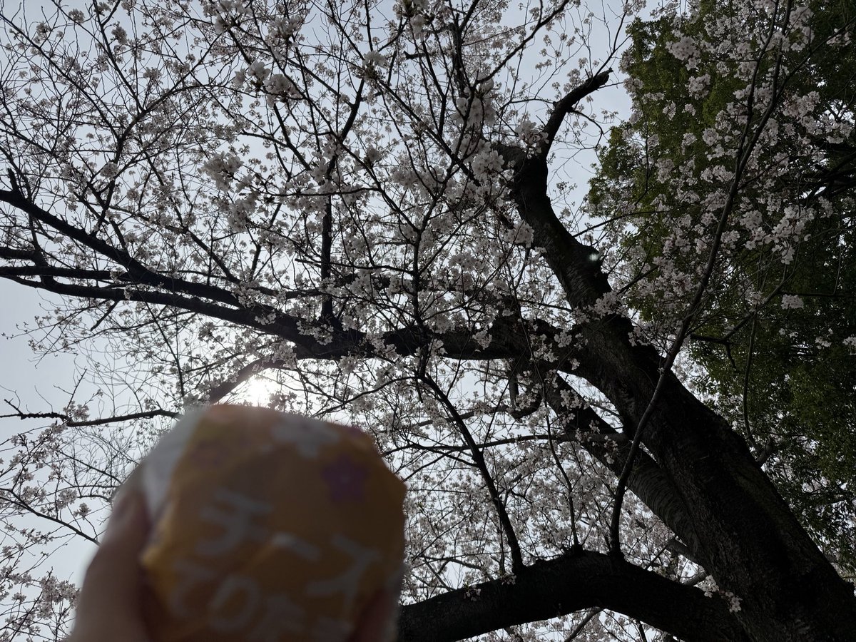 はる🍙 tweet media