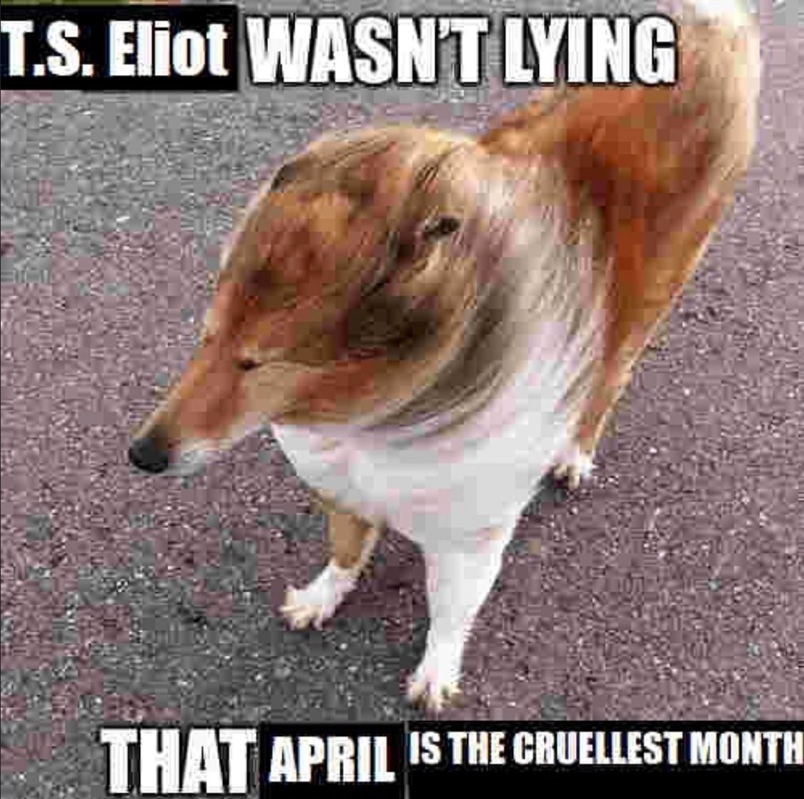 dr greg is historicising ✍️✨ tweet media