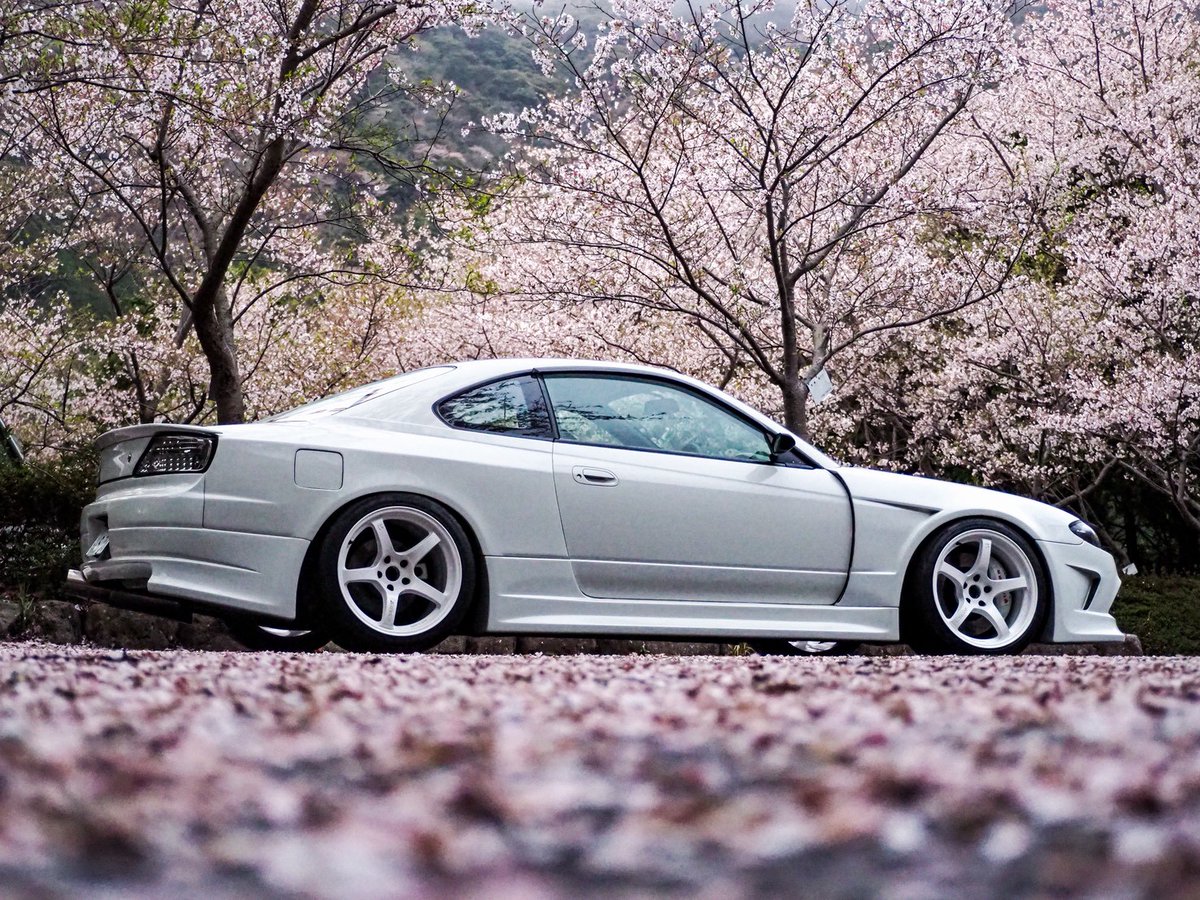 ぼるがの👏 tweet media