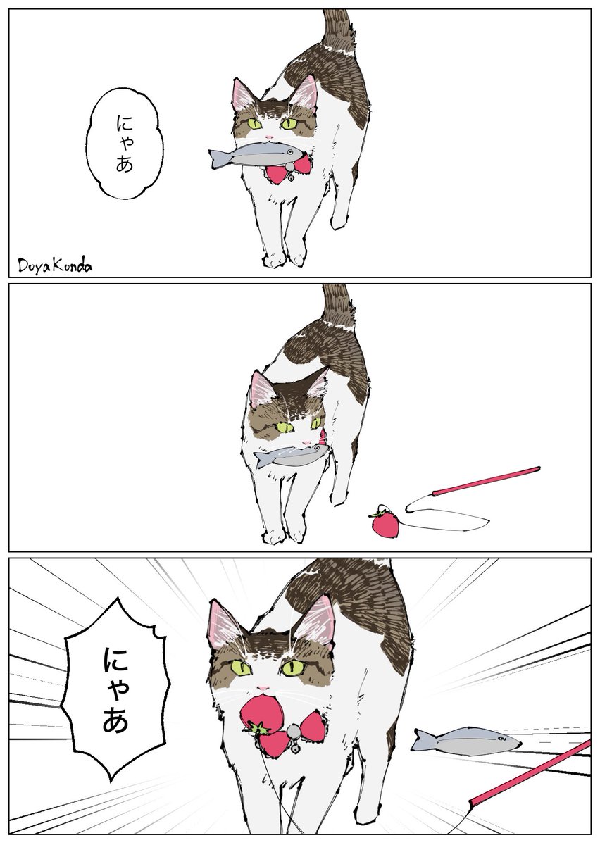 戸屋こんだ tweet media