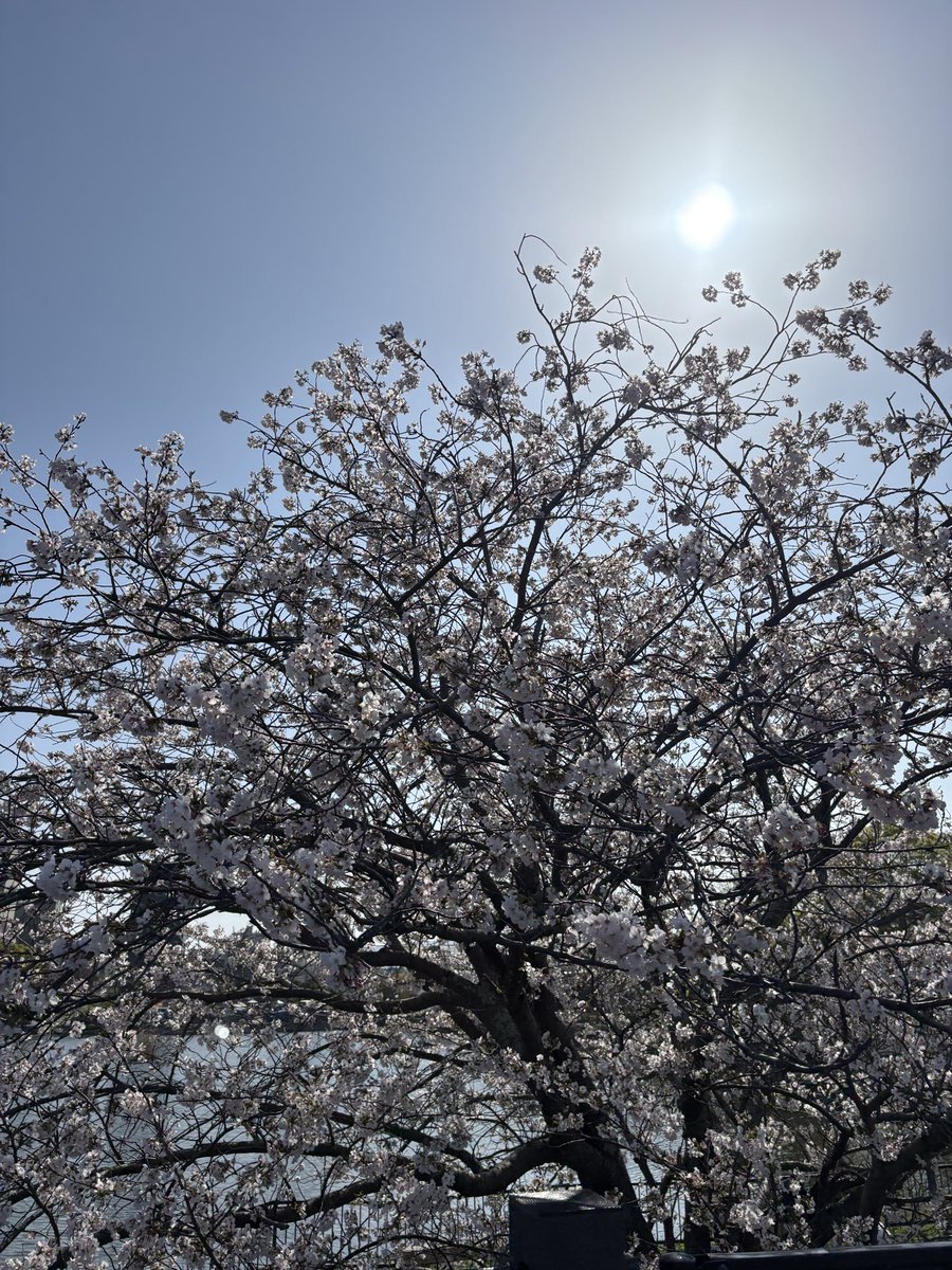 💛ྀི🐧ℳ𝓲ℛ𝓲🐧 💛ᩚ🌻 tweet media