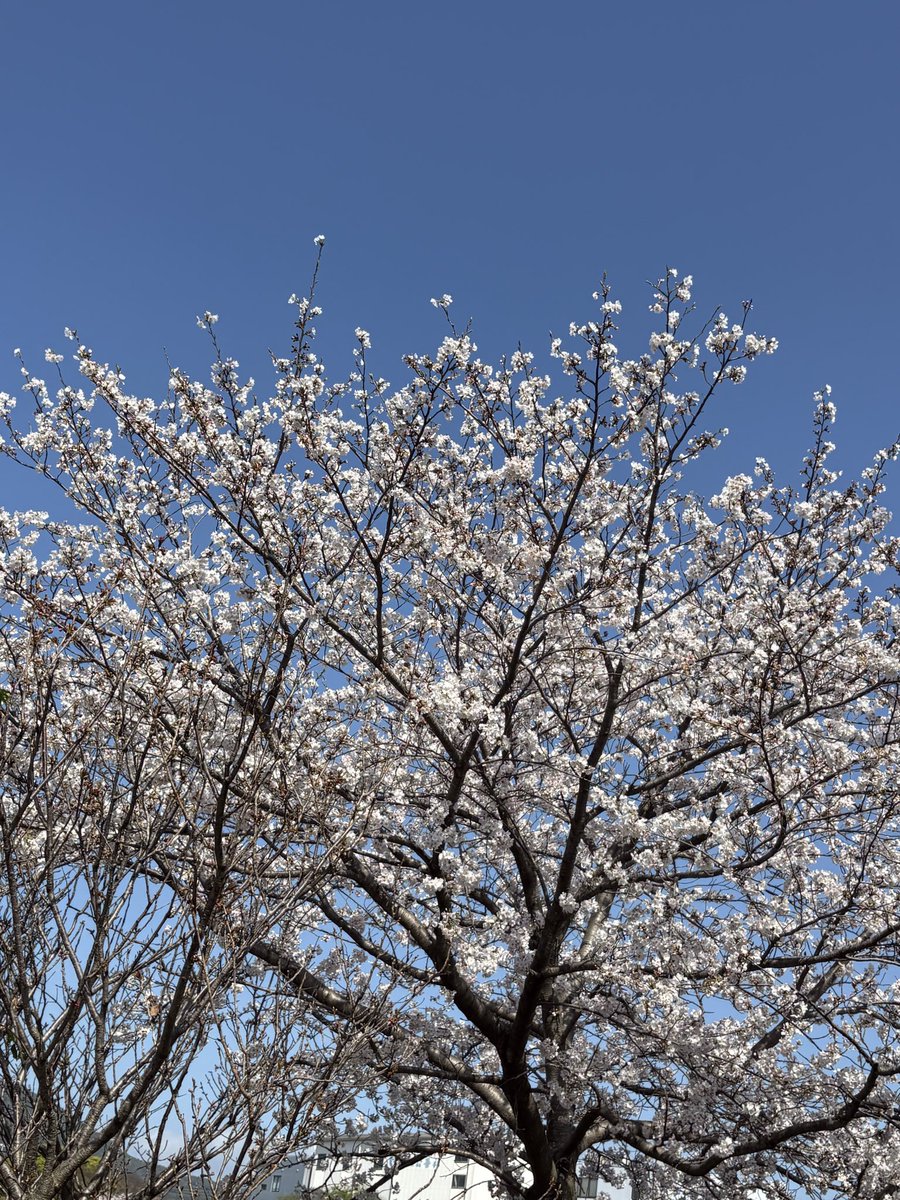 💛ྀི🐧ℳ𝓲ℛ𝓲🐧 💛ᩚ🌻 tweet media