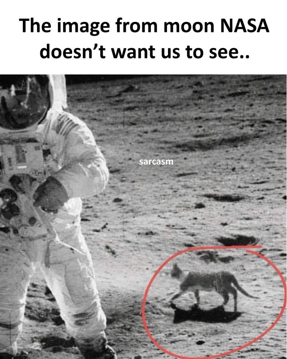 tetuwan atom tweet media