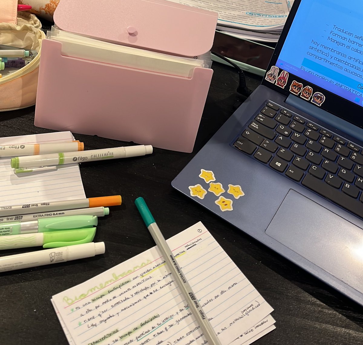 cassstudylog's tweet photo. ˋ°•*⁀➷ studylog  0404 ! 

a full con biologia hoy avance 2 temas largos asi q super contenta, mañana me toca laburar todo el dia asi q hoy termina mi semana de estudio ^•^ y la semana que viene ya arranco a cursar la materia presencial!! https://t.co/WtTMyqWbRu