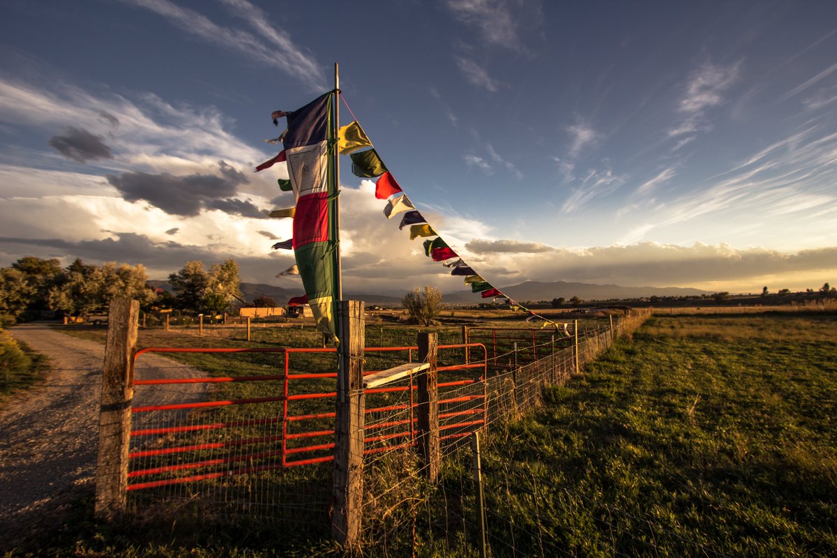PhotoPanoptikon's tweet image. The #GoldenHour in #Taos, #NewMexico...

@PhotoPanoptikon 

#sunsetphotography #travelphotography #landscapephotography