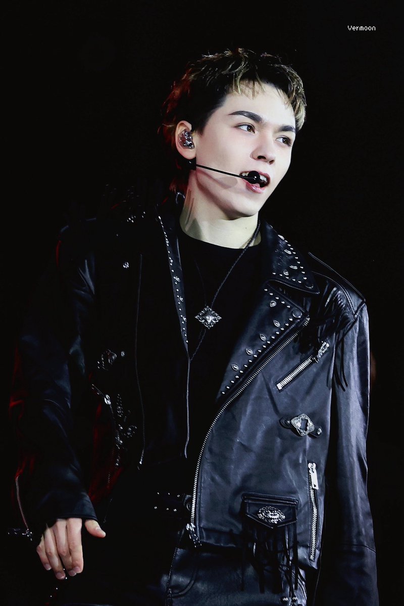 trip to vermoon tweet media