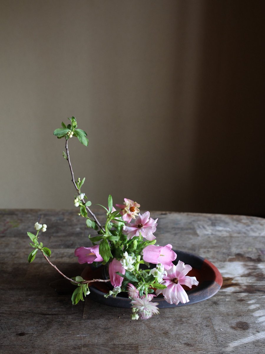 花ならい tweet media