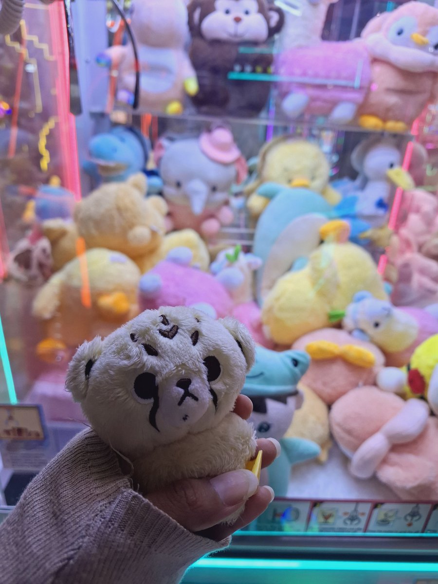 포우🧸 tweet media