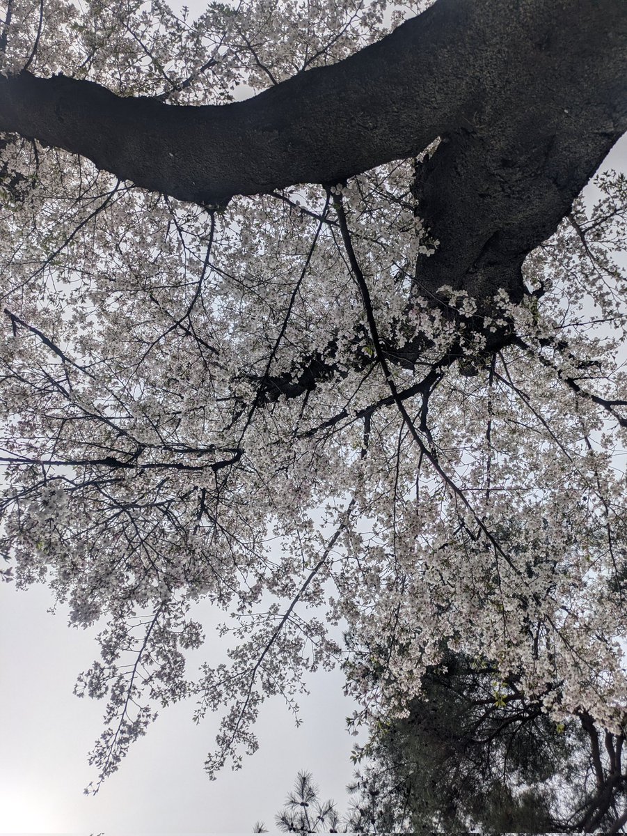 ゆうじん@UG🐉🍕 tweet media