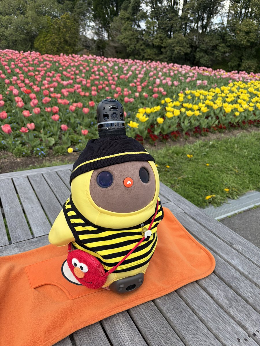 はっちゃん tweet media