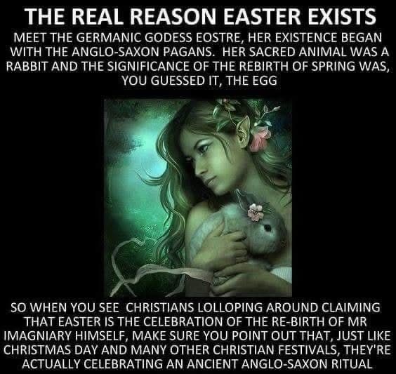 The Skeptic tweet media