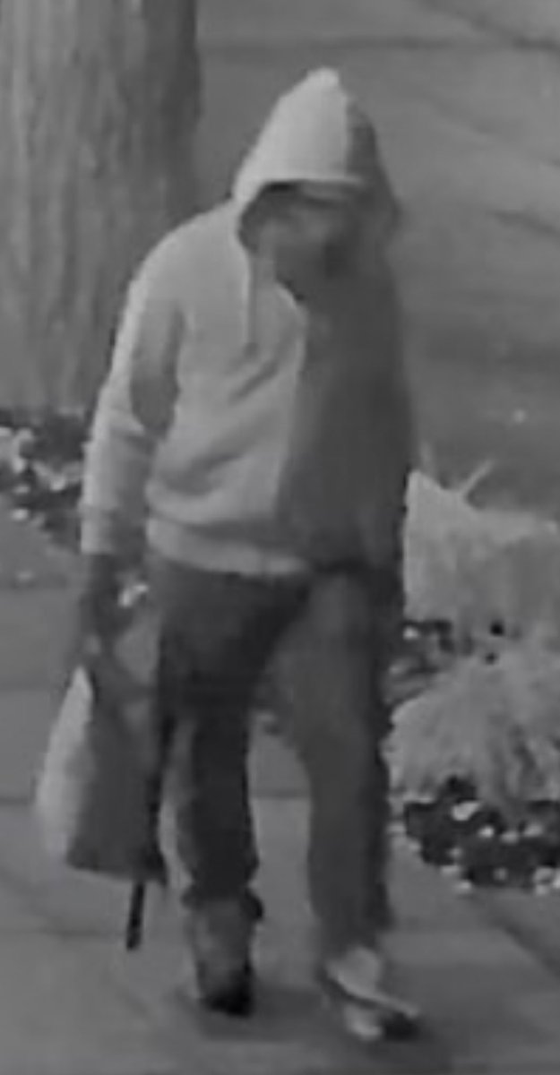 Dangerous Conspiracy Theories tweet media