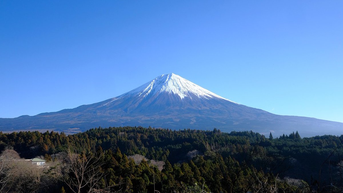 ジョン・粉🍀ローリングストックで備蓄 tweet media