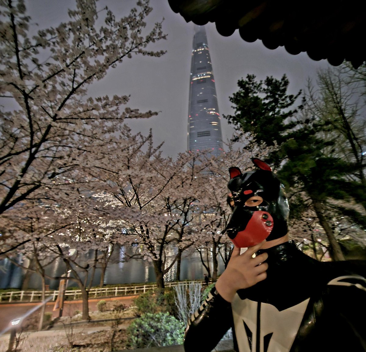 RubberKo tweet media